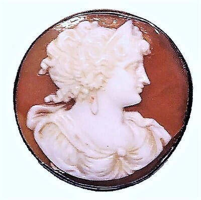 A MEDIUM SIZE CARVED SHELL CAMEO SET IN BRASS BUTTON