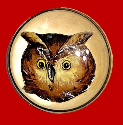 19TH CENTURY DESIGN UNDER GLASS OWL BUTTON