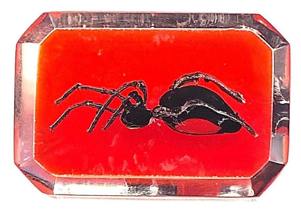 A GREAT LARGE SIZE PICTORIAL CARVED LICITE BUTTON BY CHERYL EMPSON.