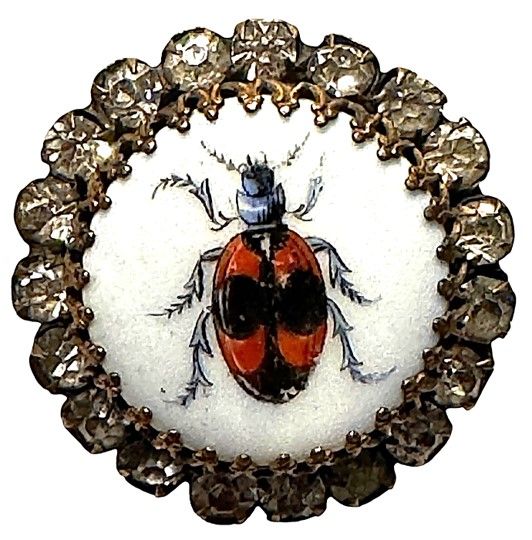 A SCARCE 19TH CENTURY LARGE PASTE BORDERED INSECT BUTTON!