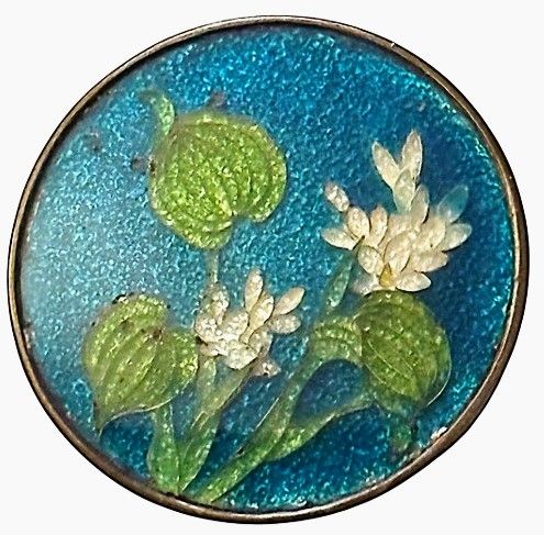 A large medium 19th century Gin Bari Enamel button!