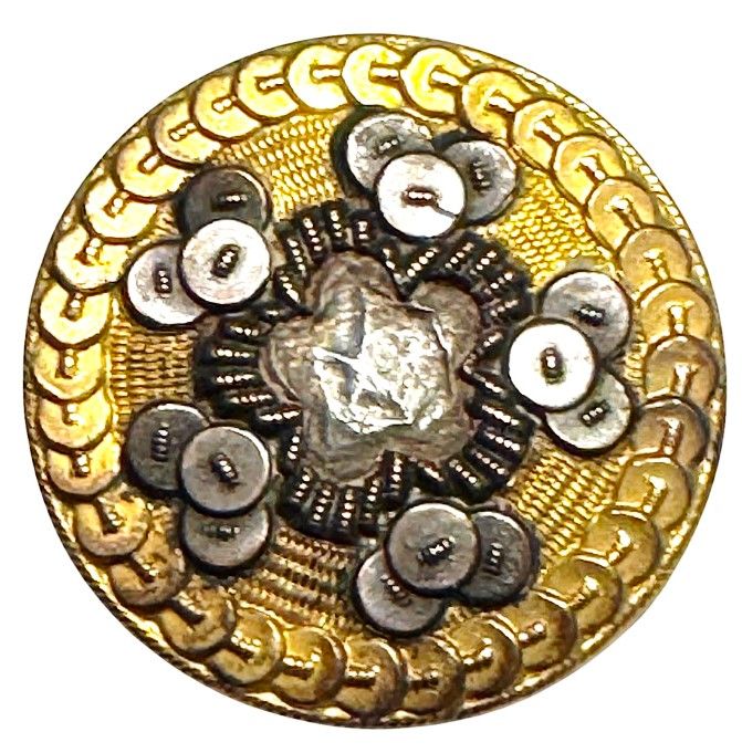 A medium size 18th century Bone Back button!