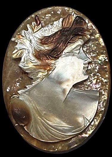 An extra large 19th century carved shell button!