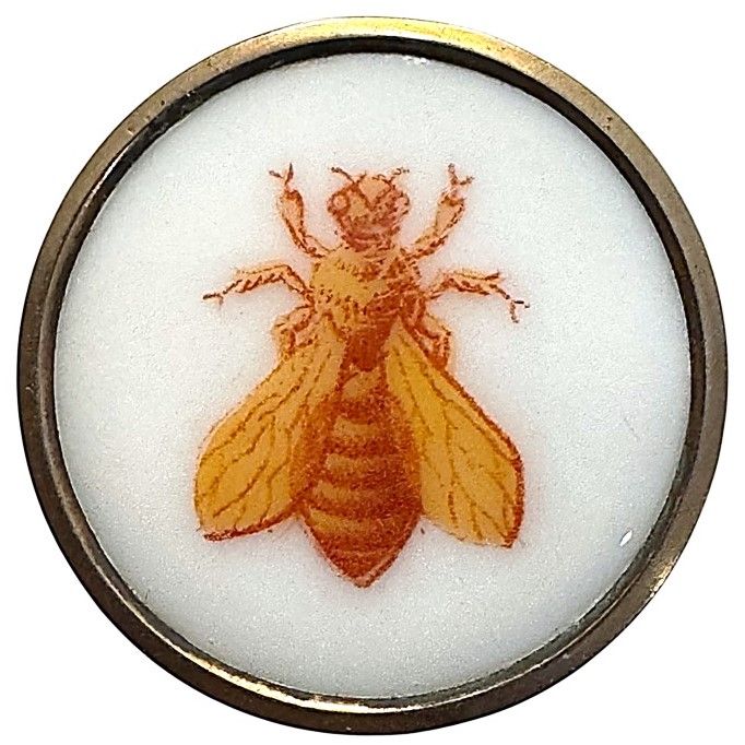 A rare 19th century Liverpool Transfer BEE!