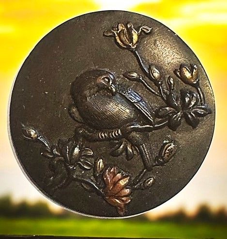 A beautiful example of a large Shakudo button!