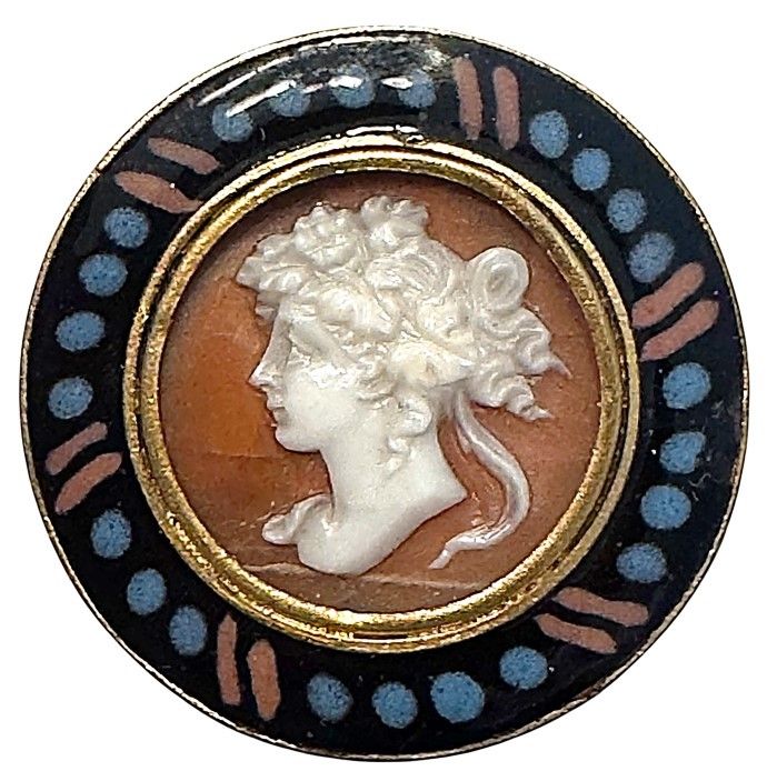 A scarce 19th century Cameo and Enamel Button!