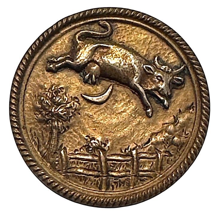 A very rare 19th century Picture Button!