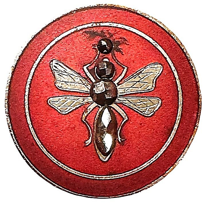 A rare medium size Matte Enamel insect with cut steels!