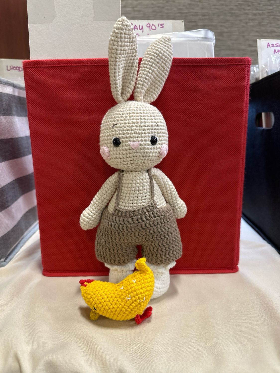 Bunny Farm-boy And chicken.