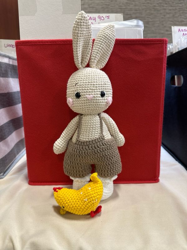 Bunny Farm-boy And chicken.