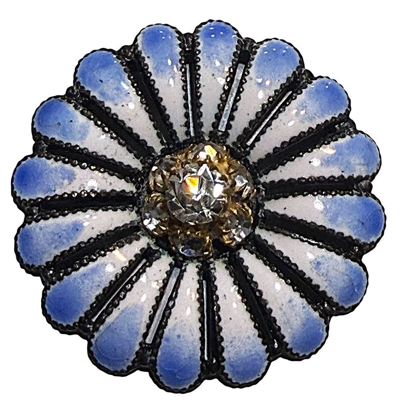 A lovely late 19th century paste centered enamel on silver button!
