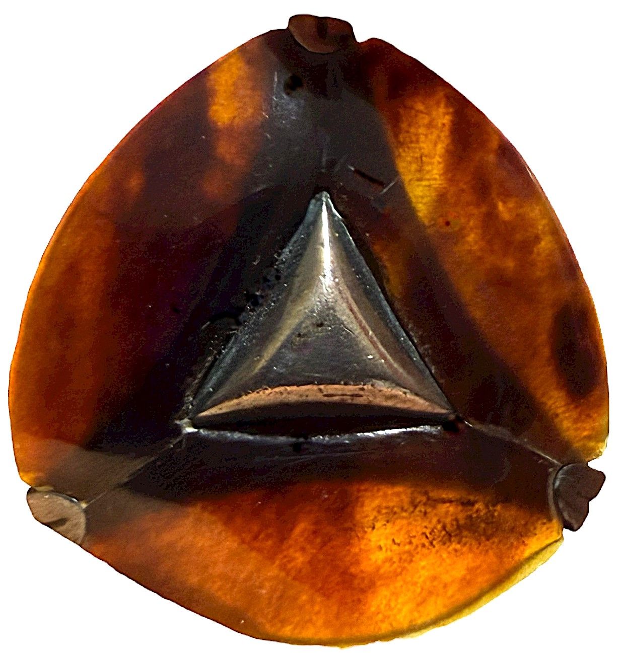 A beautiful medium tortoise shell triangular shaped Mexican silver button.