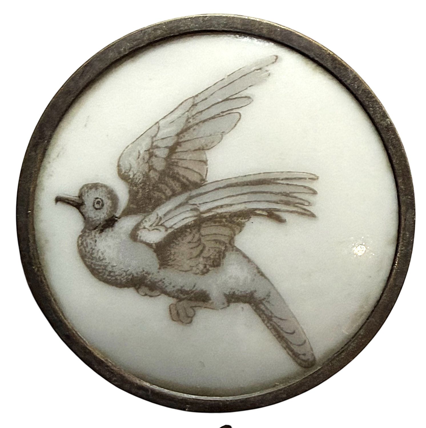 A LATE 19TH CENTURY LIVERPOOL TRANSFER BIRD ON PORCELAIN   1  1/14"