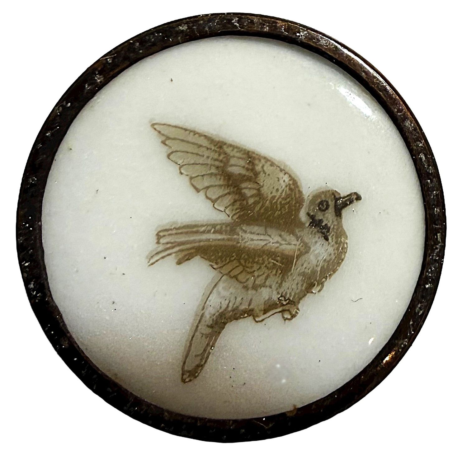 A LATE 19TH CENTURY LIVERPOOL TRANSFER BIRD ON PORCELAIN   15/16"145