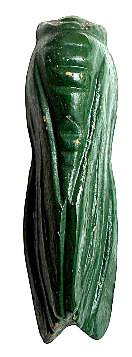 A rare 1940's Burwood button insect