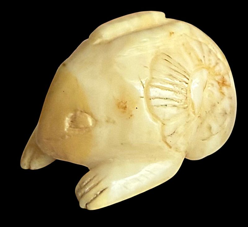 A medium 19th century carved Rabit button