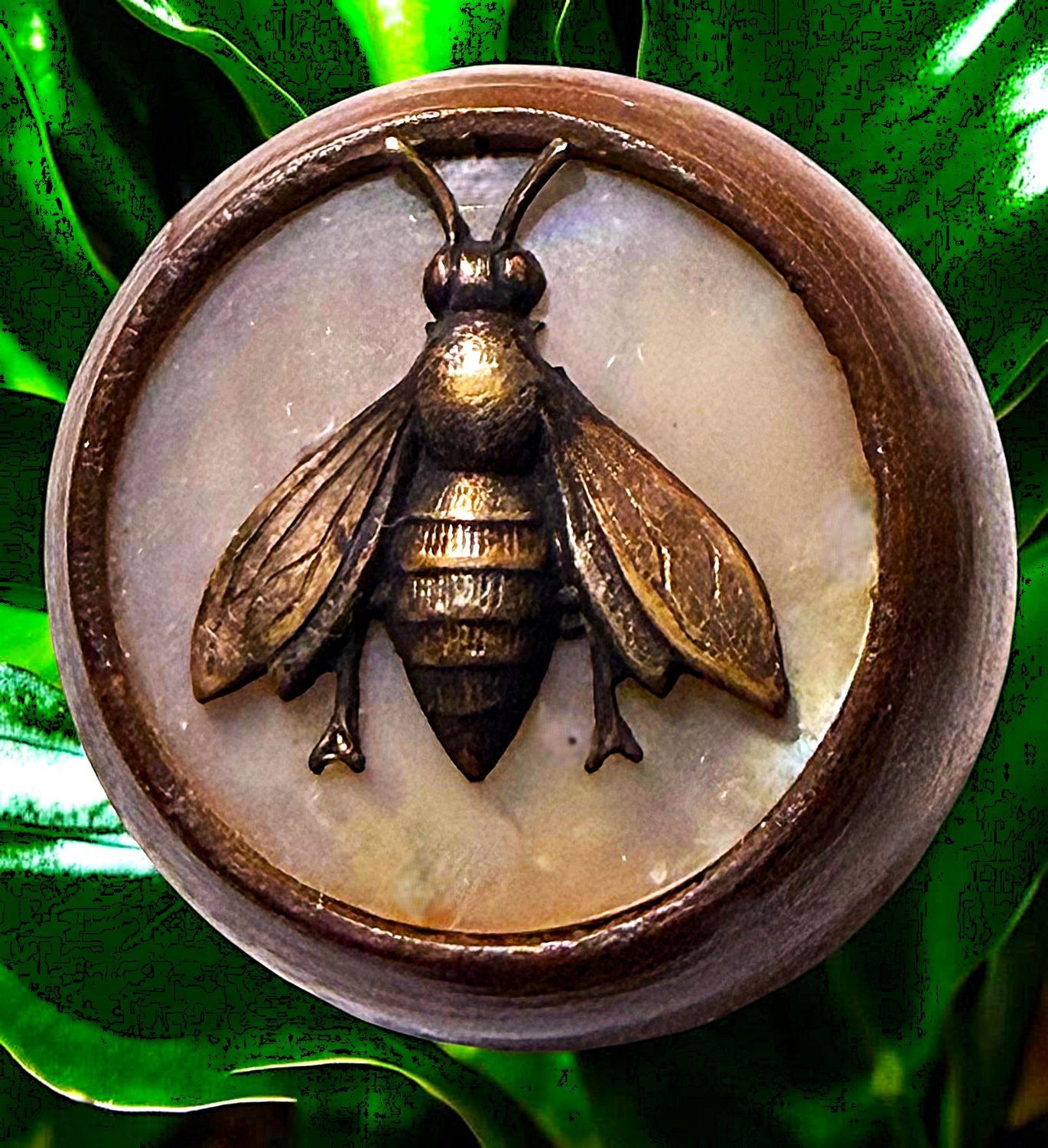 A DIVISION ONE THREE MATERIAL ANIMAL BUTTON