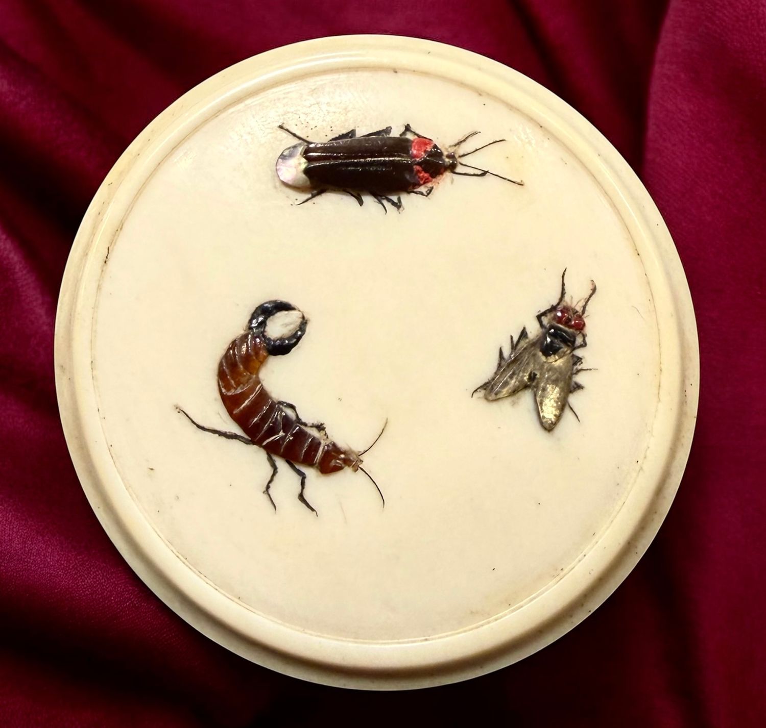 19th Century Shibayama inlayed insects!