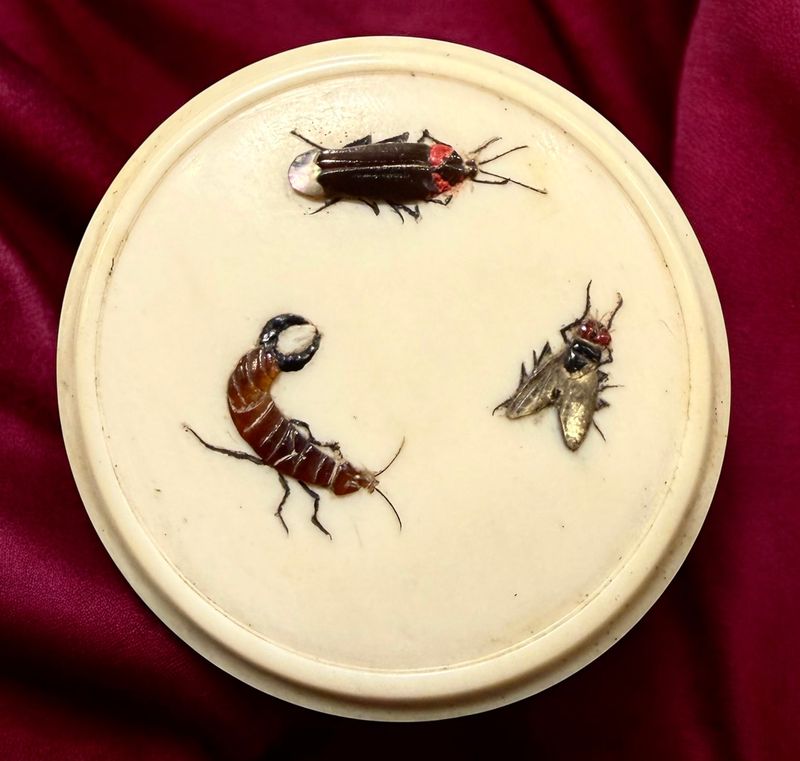 19th Century Shibayama inlayed insects!