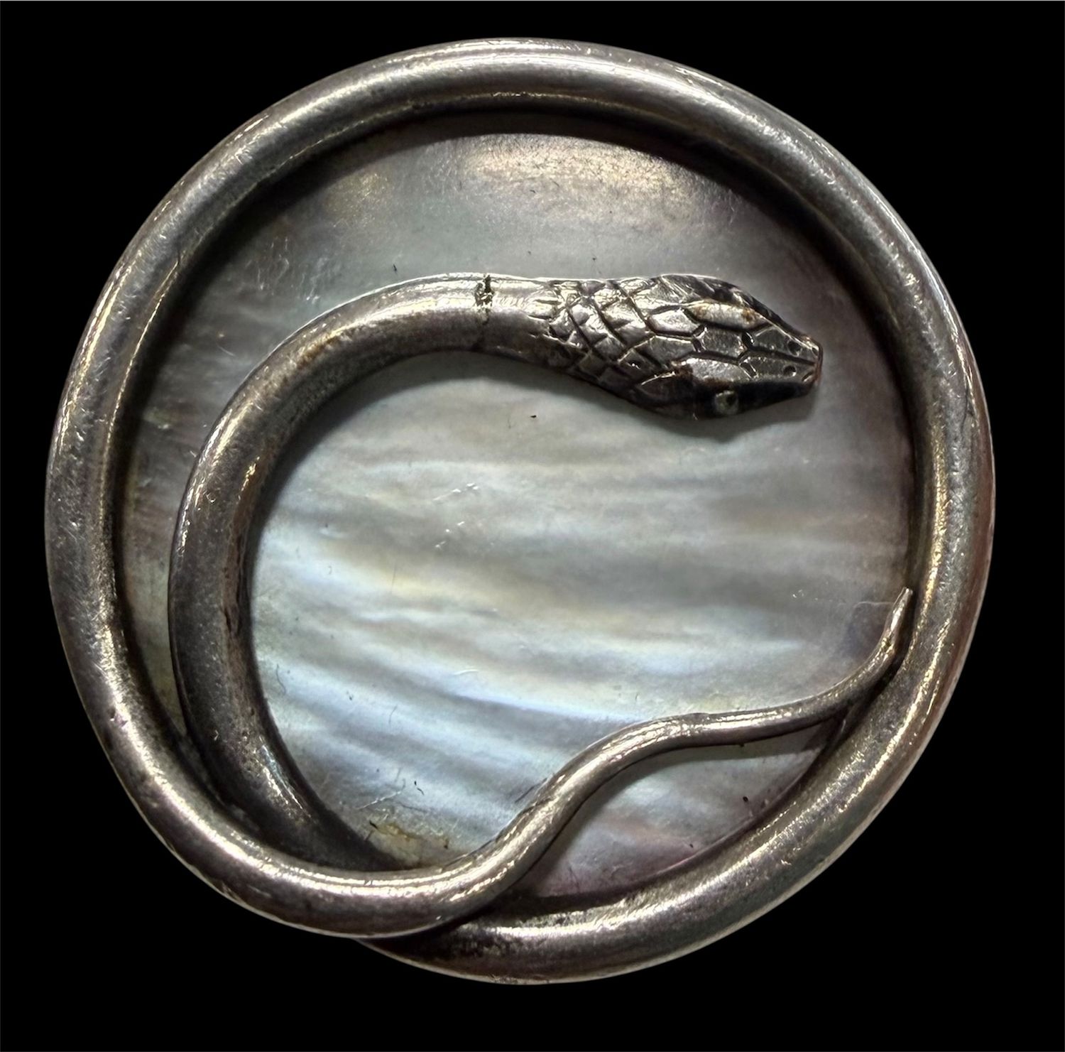 A large 19th century pearl background snake button!