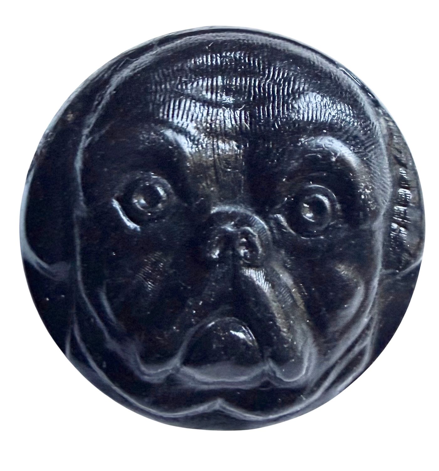 A RARE medium size molded horn Pug dog button!
