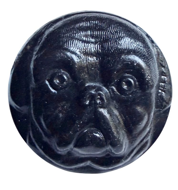 A RARE medium size molded horn Pug dog button!
