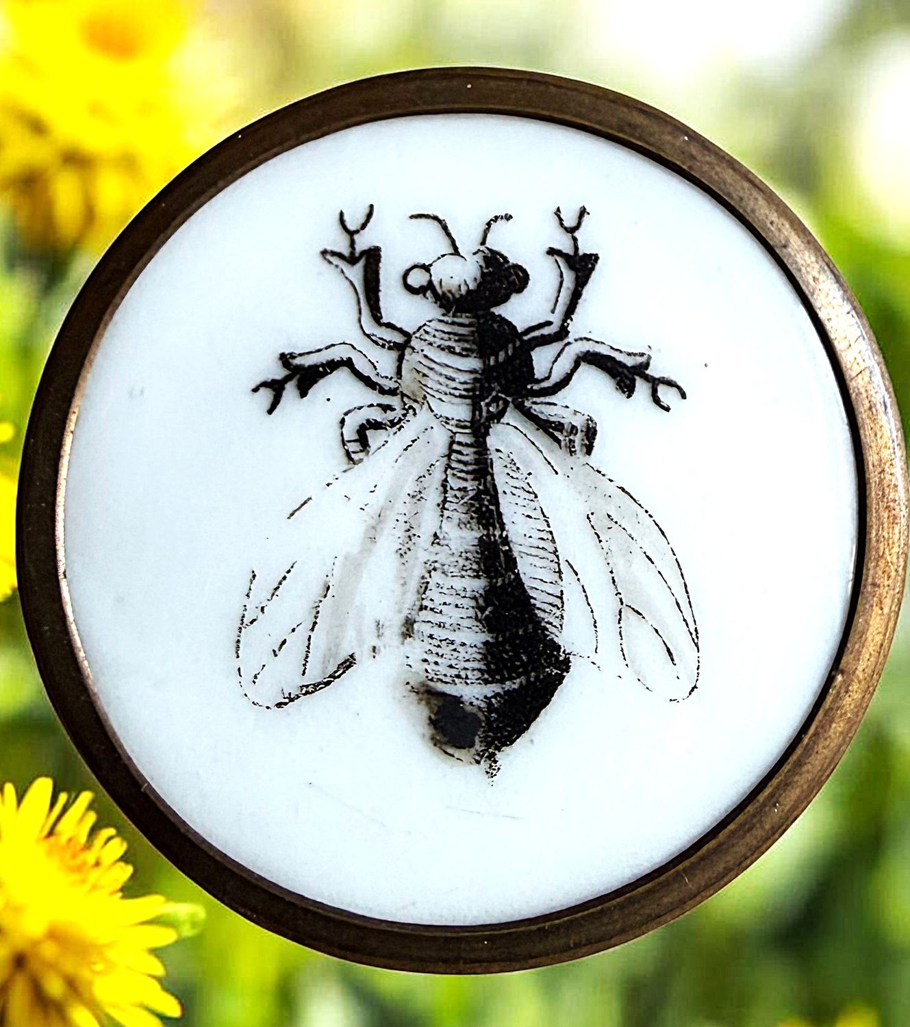 A large 19th century Liverpool Transfer porcelain Button!