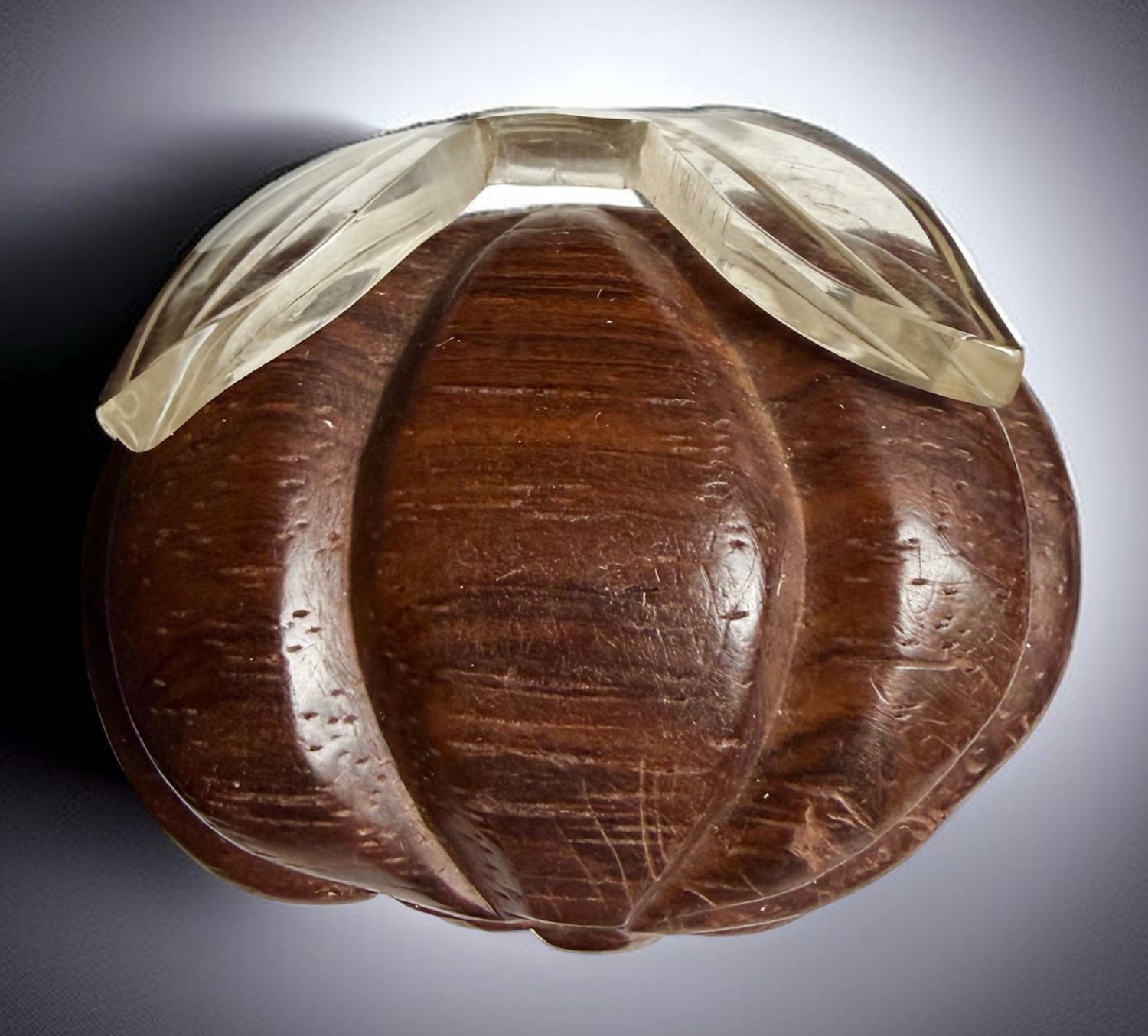 A very unusual very large wood Button!