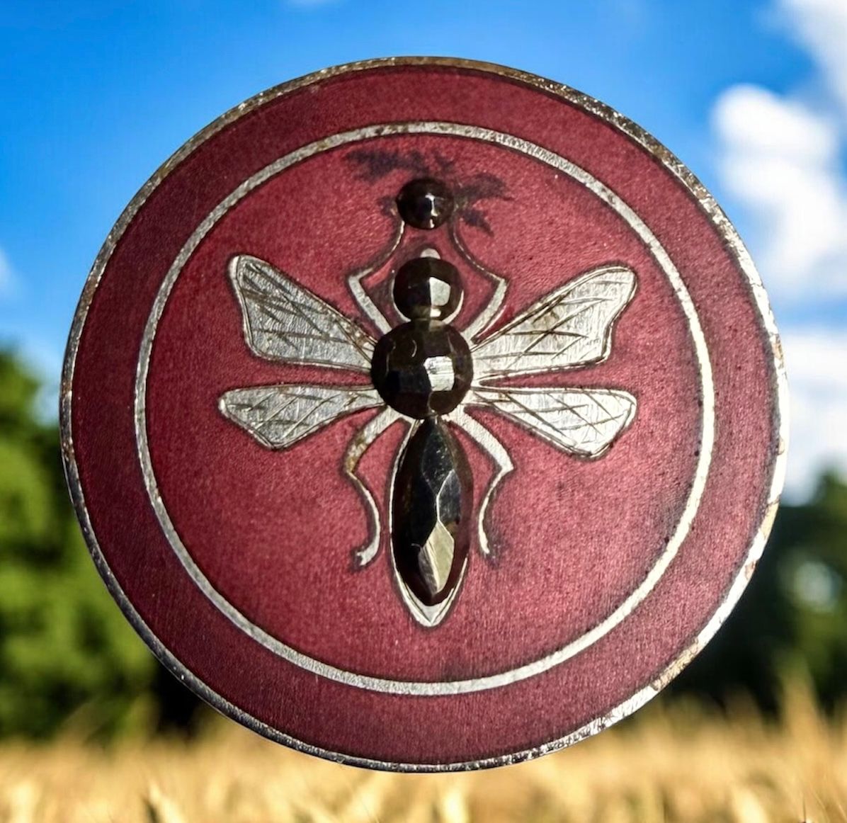 An unusual medium size 19th century matte finish enamel Button!