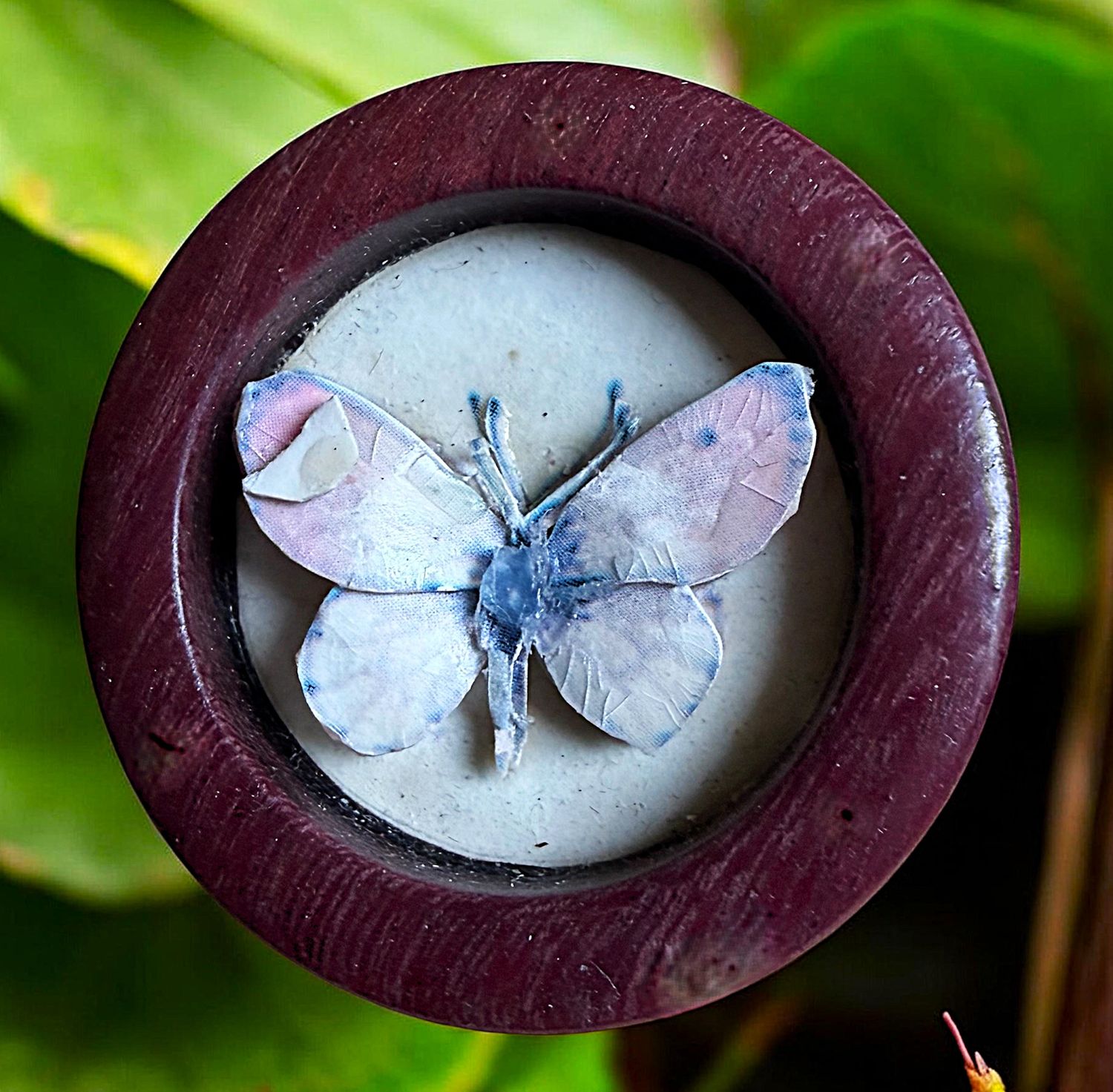 A large 21st century studio Butterfly biutton!