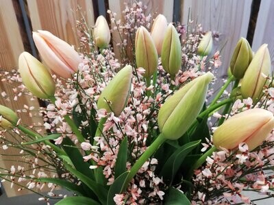 Frühling