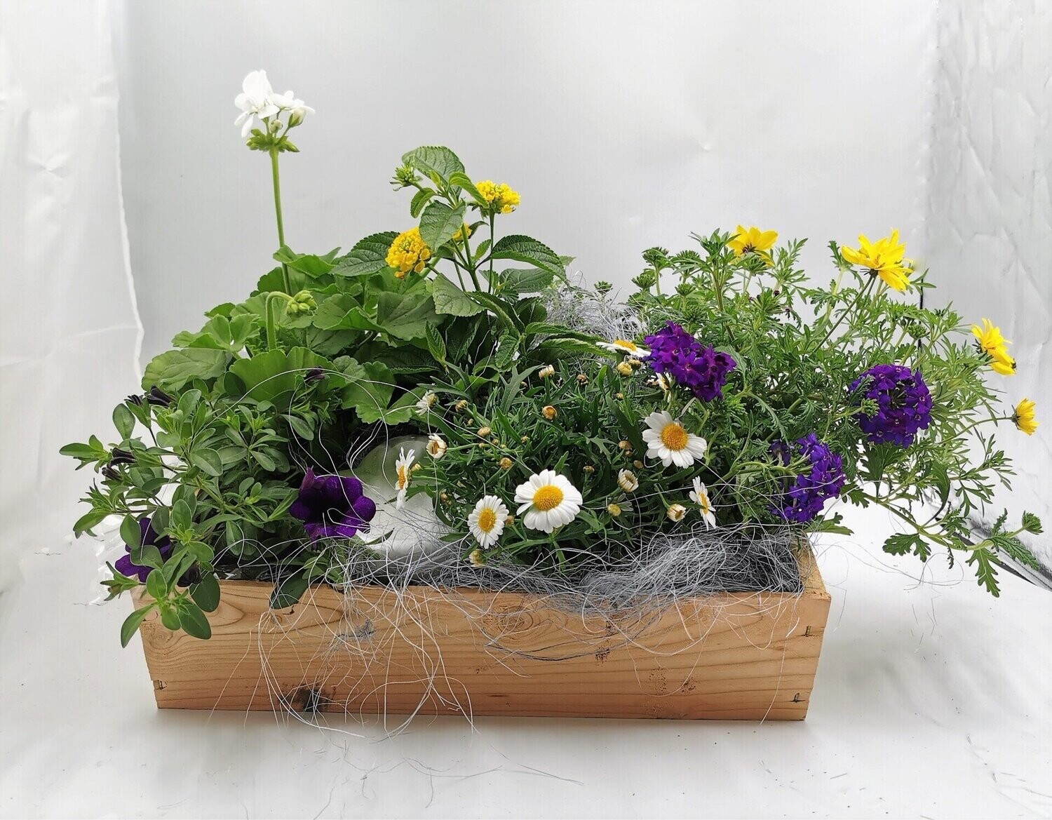 Sommerblumenkiste ab