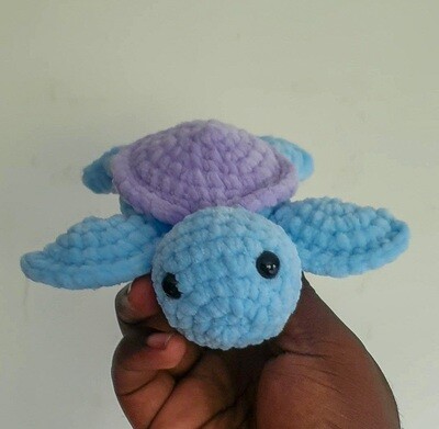 Tommy Turtle