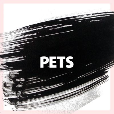Pets
