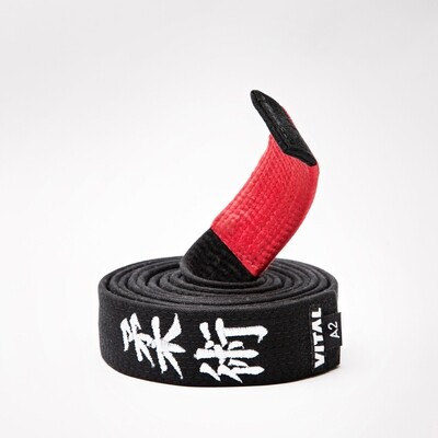 EMBROIDERED BELT