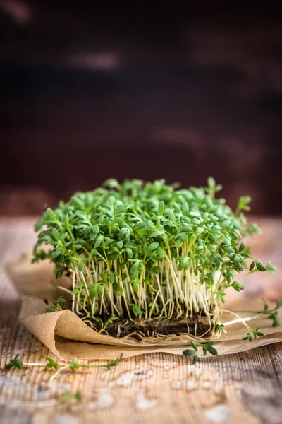 Cress-Micro Greens Seeds