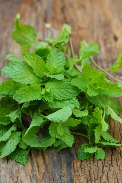 Mint Seeds