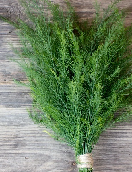 Dill Seeds