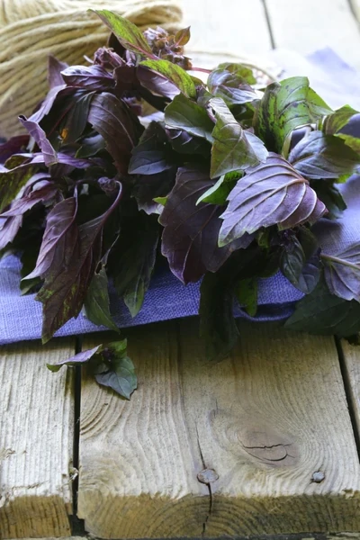 Purple Basil Seeds