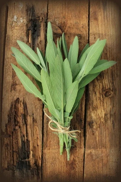 Sage Seeds