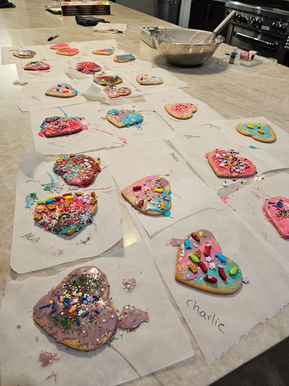 Cookie Decorating Kit