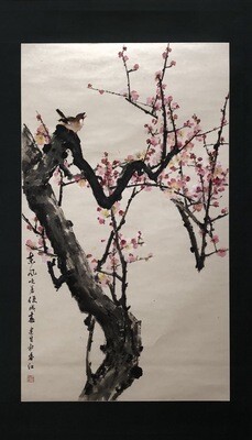 Winnie KS Hui