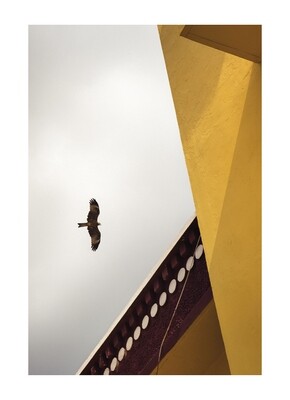Tobi Wilkinson