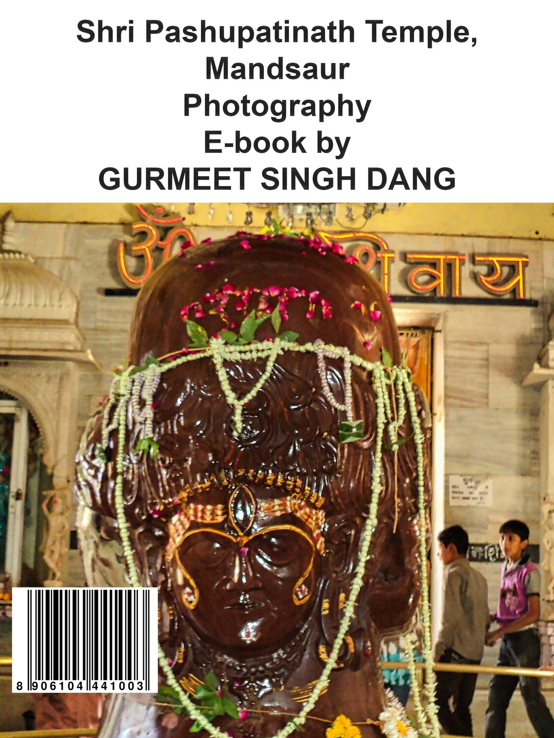 Shri Pashupatinath Temple, Mandsaur Photography E-book by GURMEET SINGH DANG