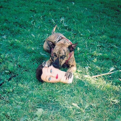 Joyce Manor ‎– Cody