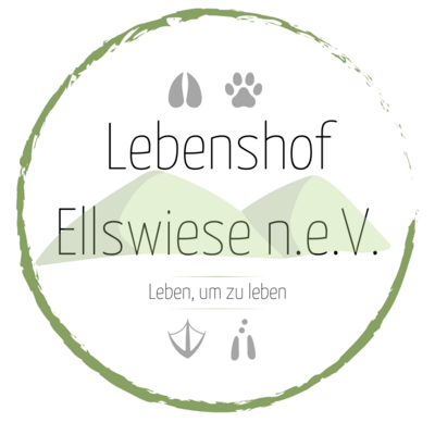 Ellswiese