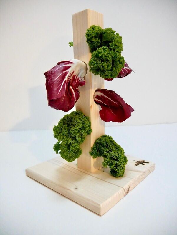 Futterbaum