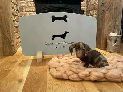 Dog Stoppers