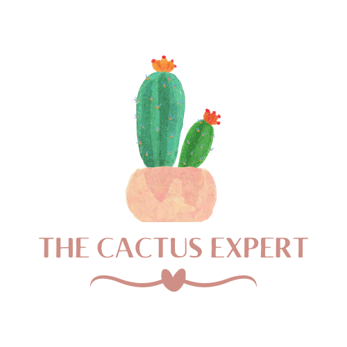 The Cactus Expert