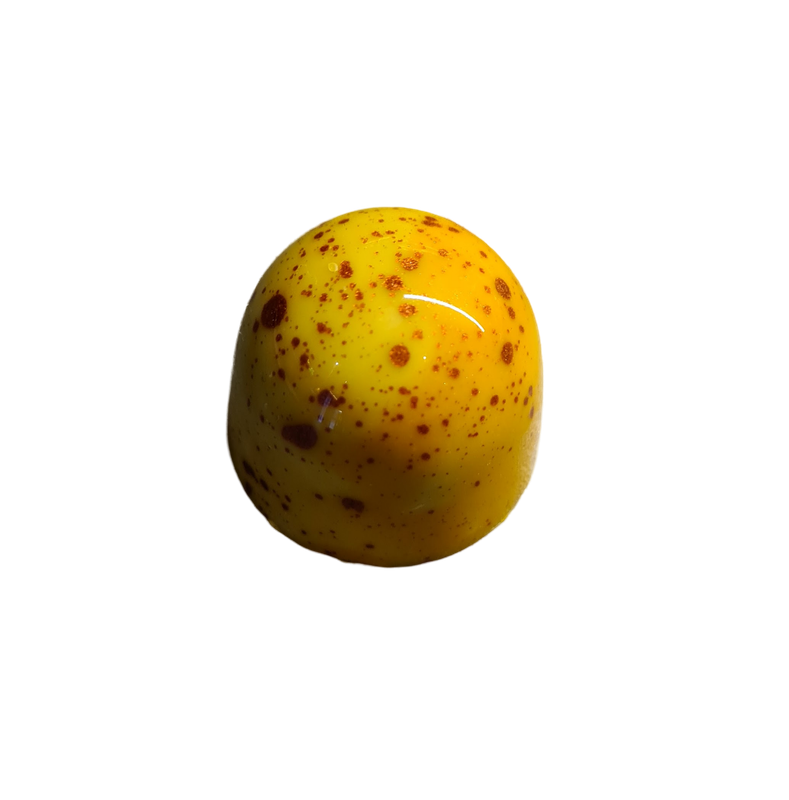 Saffran/rom Saffran/rom